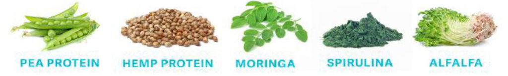 skinny-protein-ingredients